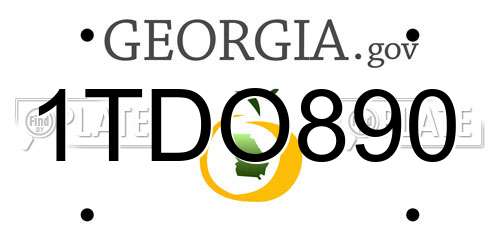 1TDO890 Georgia License Plate