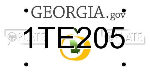 1TE205 Georgia License Plate