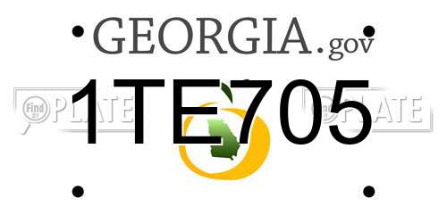 1TE705 Georgia License Plate