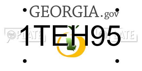 1TEH95 Georgia License Plate