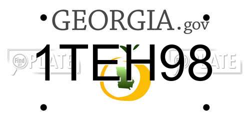 1TEH98 Georgia License Plate