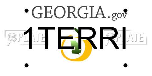 1TERRI Georgia License Plate
