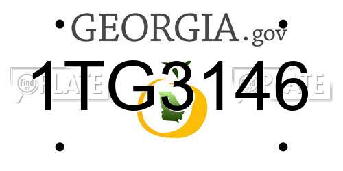 1TG3146 Georgia License Plate