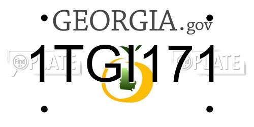 1TGI171 Georgia License Plate