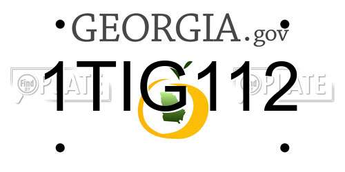 1TIG112 Georgia License Plate