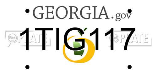 1TIG117 Georgia License Plate