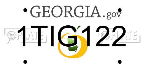 1TIG122 Georgia License Plate