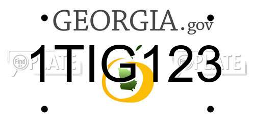 1TIG123 Georgia License Plate