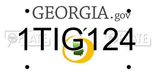 1TIG124 Georgia License Plate