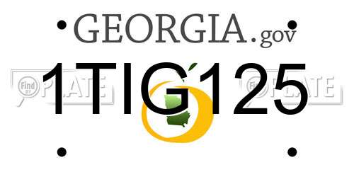 1TIG125 Georgia License Plate