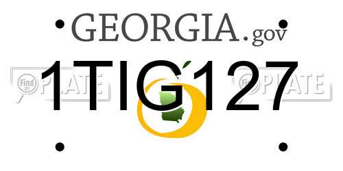 1TIG127 Georgia License Plate