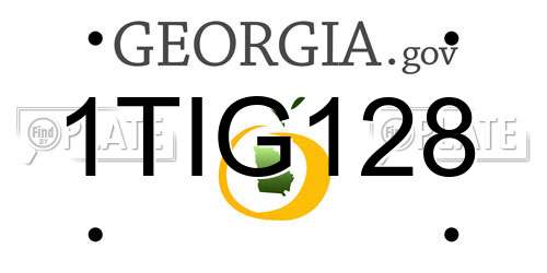 1TIG128 Georgia License Plate