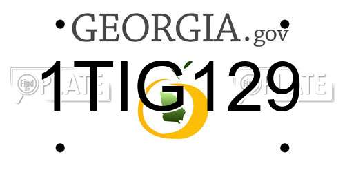 1TIG129 Georgia License Plate