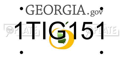 1TIG151 Georgia License Plate