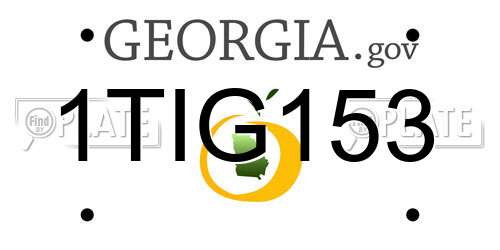 1TIG153 Georgia License Plate