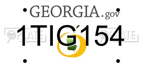 1TIG154 Georgia License Plate