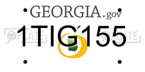 1TIG155 Georgia License Plate