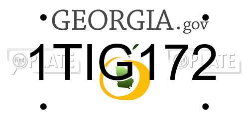 1TIG172 Georgia License Plate