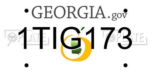 1TIG173 Georgia License Plate