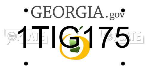 1TIG175 Georgia License Plate