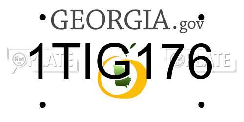 1TIG176 Georgia License Plate