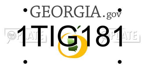 1TIG181 Georgia License Plate