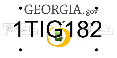 1TIG182 Georgia License Plate