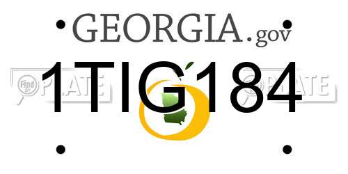 1TIG184 Georgia License Plate