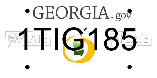 1TIG185 Georgia License Plate
