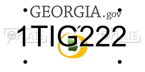 1TIG222 Georgia License Plate