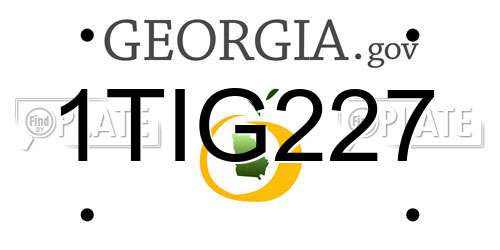 1TIG227 Georgia License Plate