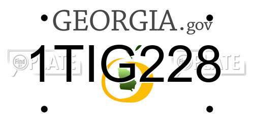 1TIG228 Georgia License Plate