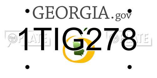 1TIG278 Georgia License Plate