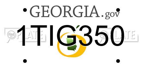1TIG350 Georgia License Plate