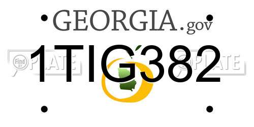 1TIG382 Georgia License Plate