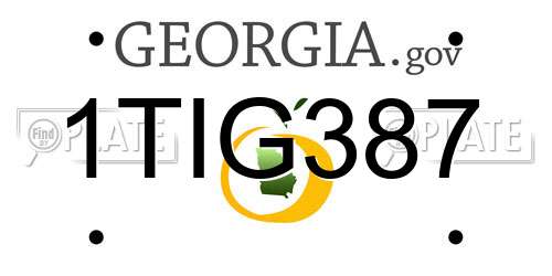 1TIG387 Georgia License Plate