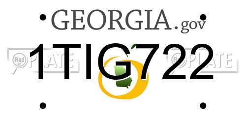 1TIG722 Georgia License Plate
