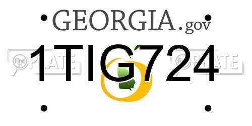 1TIG724 Georgia License Plate