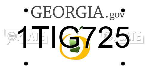 1TIG725 Georgia License Plate