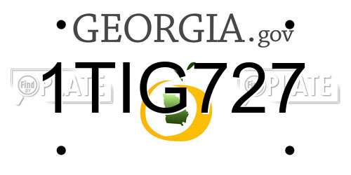 1TIG727 Georgia License Plate