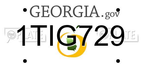 1TIG729 Georgia License Plate