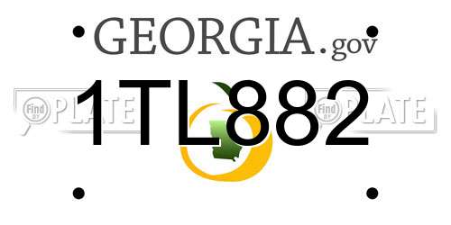1TL882 Georgia License Plate