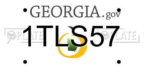 1TLS57 Georgia License Plate