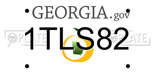 1TLS82 Georgia License Plate