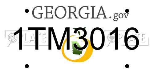 1TM3016 Georgia License Plate