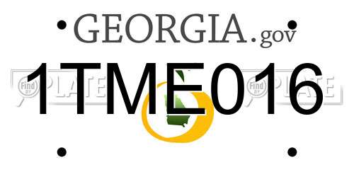 1TME016 Georgia License Plate