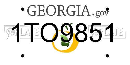 1TO9851 Georgia License Plate