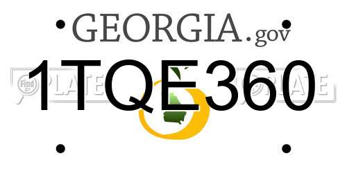 1TQE360 Georgia License Plate