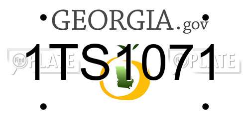 1TS1071 Georgia License Plate
