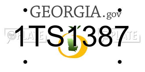 1TS1387 Georgia License Plate